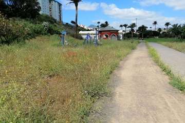 Abandono del Parque de las Mil Palmeras del Valle de Jinámar/TA.